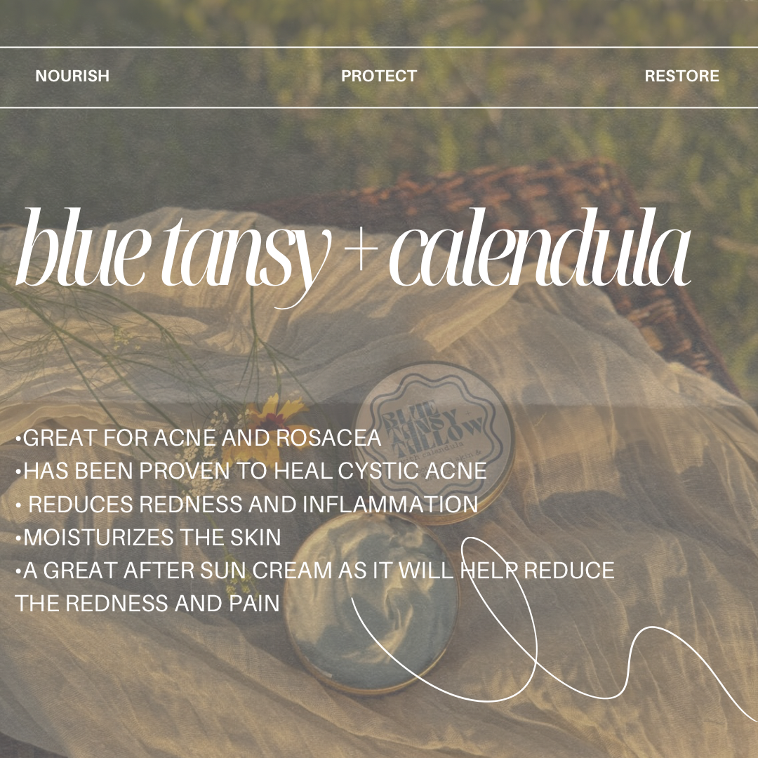 Blue Tansy + Calendula soothing tallow cream